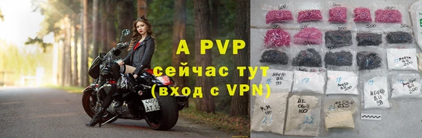шишки Заволжск