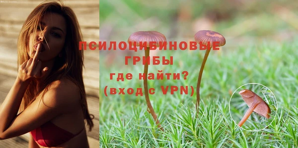 а пвп мука Зеленодольск