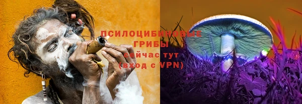 герыч Зерноград