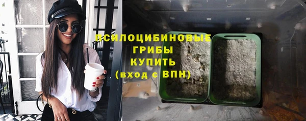 бутират Инта