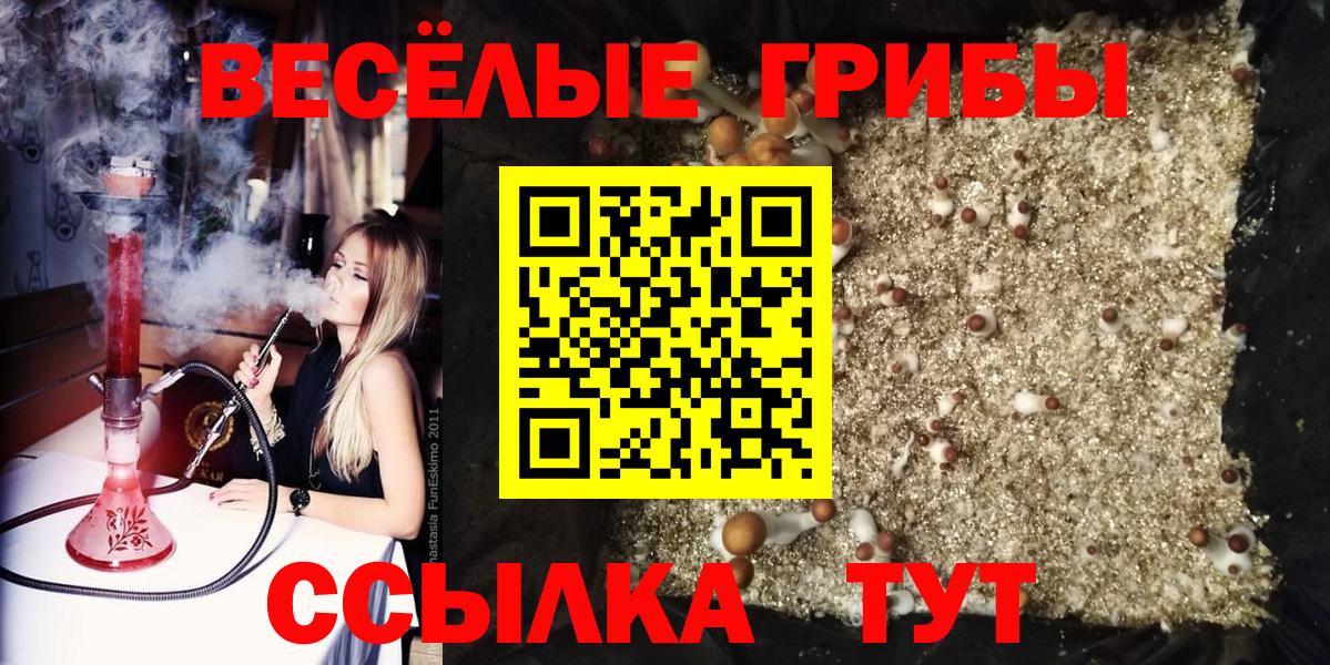 Кирово-Чепецк  Галлюциногенные грибы GOLDEN TEACHER  где купить наркоту  Вход с VPN 