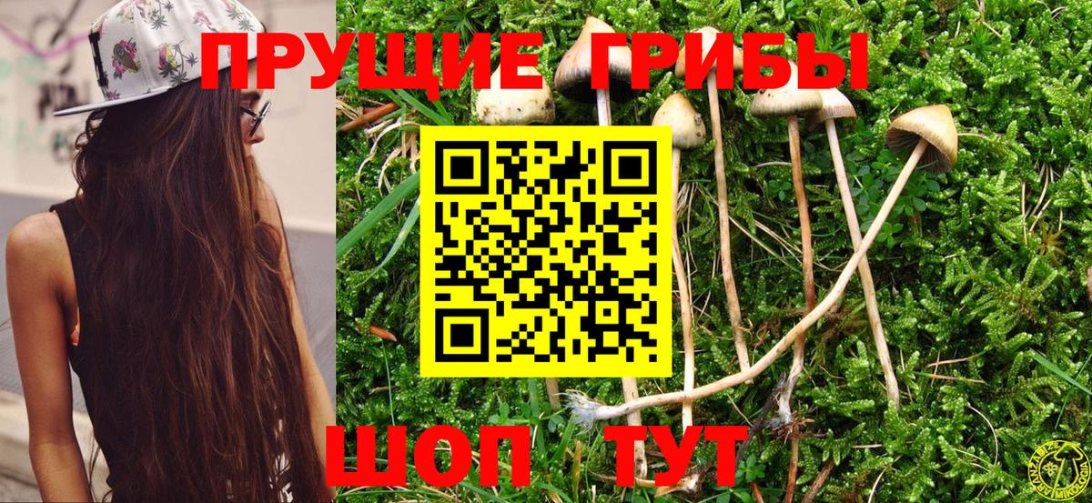 Псилоцибиновые грибы прущие грибы Кирово-Чепецк